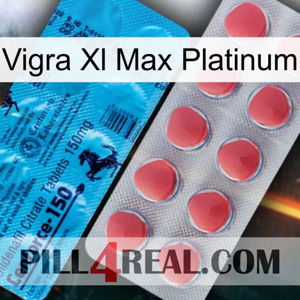 Vigra Xl Max Platinum new14.jpg